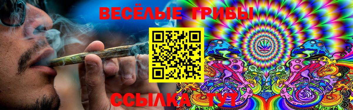 Псилоцибиновые грибы прущие грибы  цены   Астрахань  Вход с VPN 